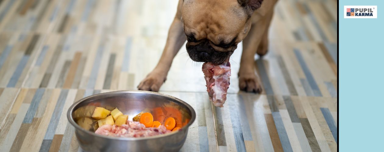 Przyczyny - zatrucie. Zdjęcie głowy i kawałka tułowia psa jedzącego z miski pełnej warzyw i miesa. Po prawej turkusowy pas i logo pupilkarma. 
